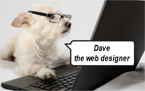 Dave Matthews, Web Designs